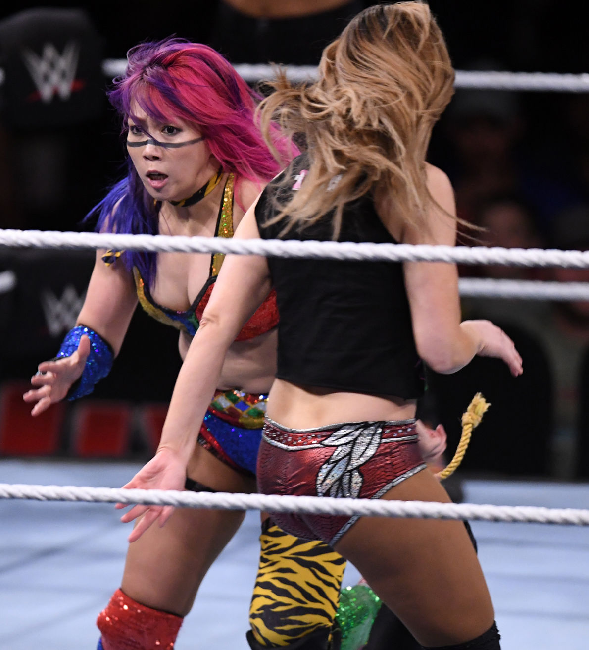WWE at Reed Arena